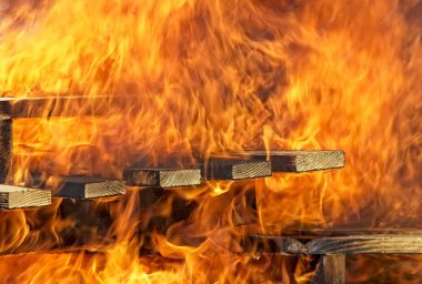image not found